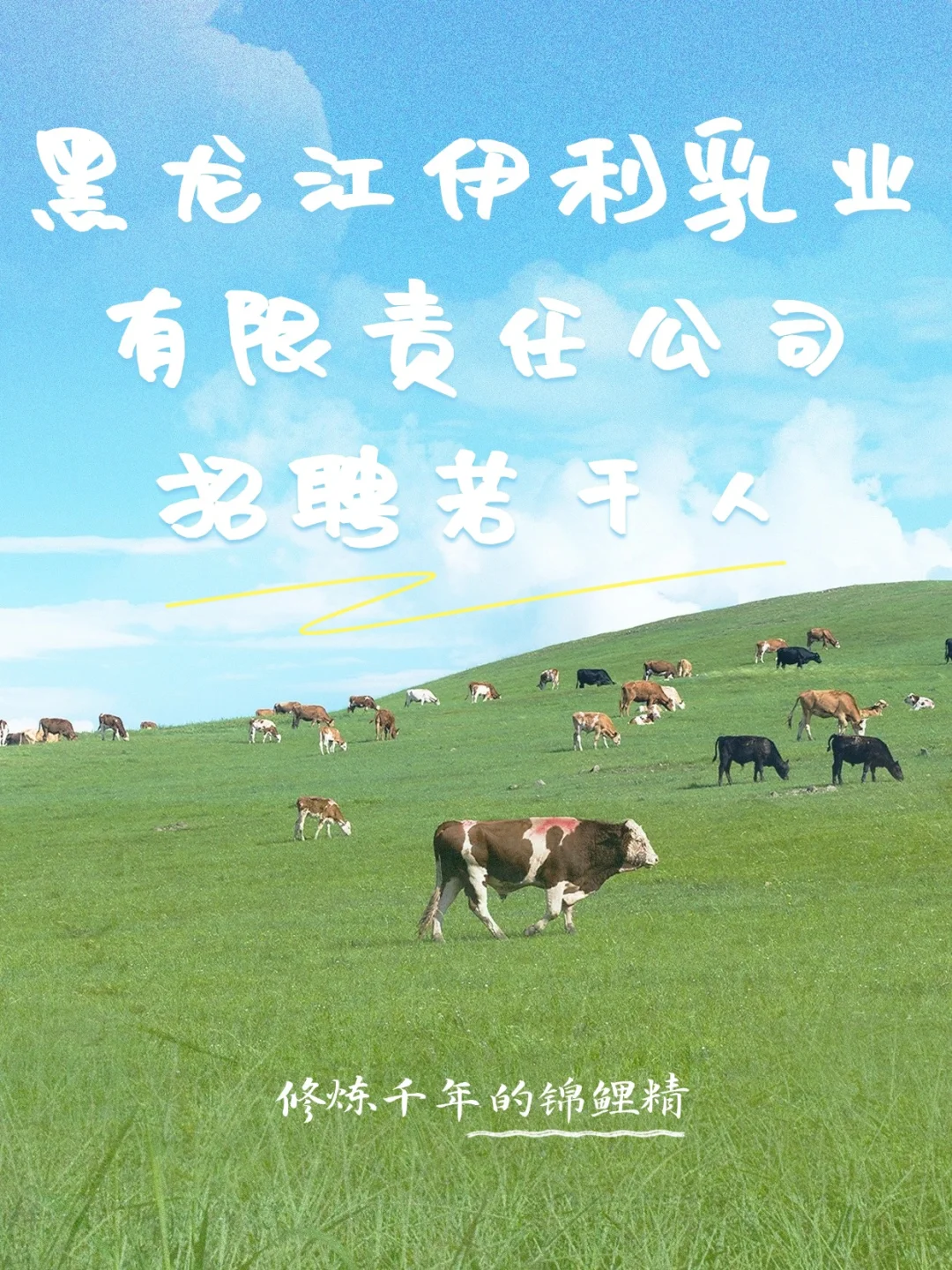 黑龙江伊利乳业有限责任公司招聘N人