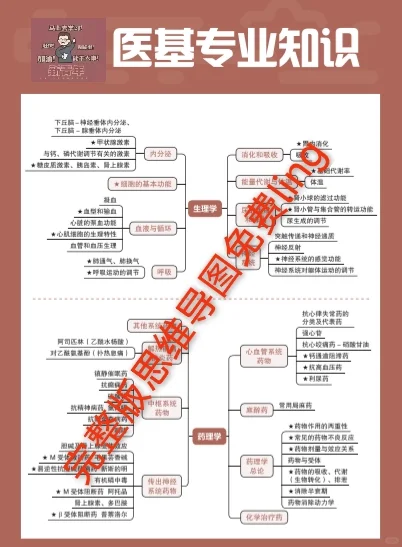 编制！广州市荔湾区医疗事业单位招聘98人