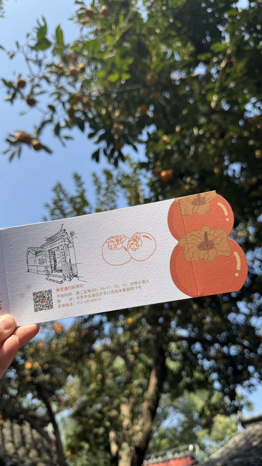 失业的秋天真美