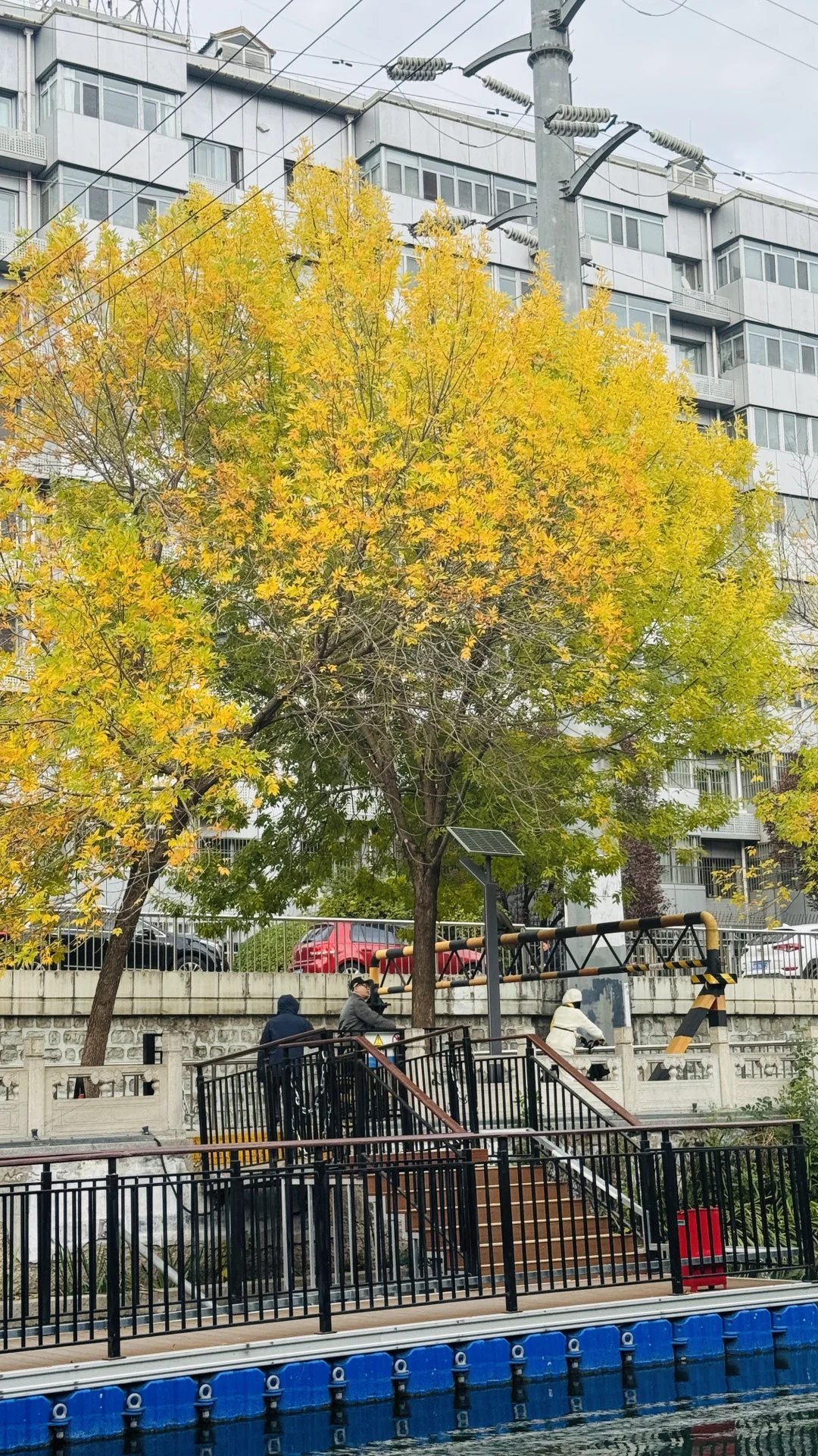 失业的秋天真美