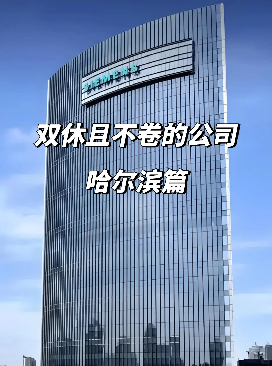 哈尔滨双休不卷公司合集！这才是理想工作！