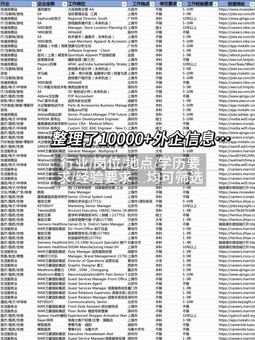 真的没人想来宠物大健康外企吗