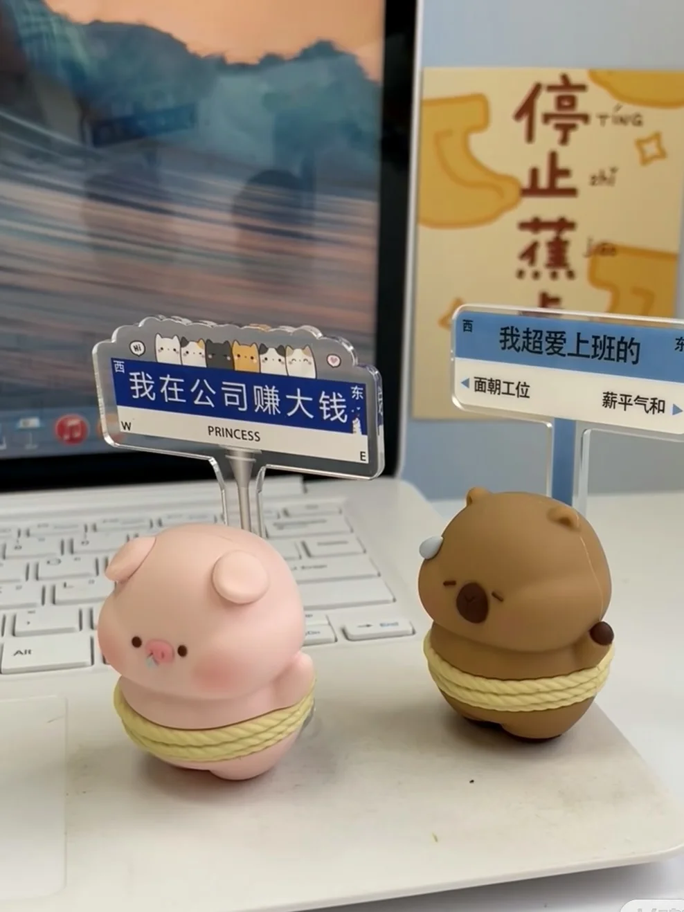 清远市区运营岗位，月薪6.5k+