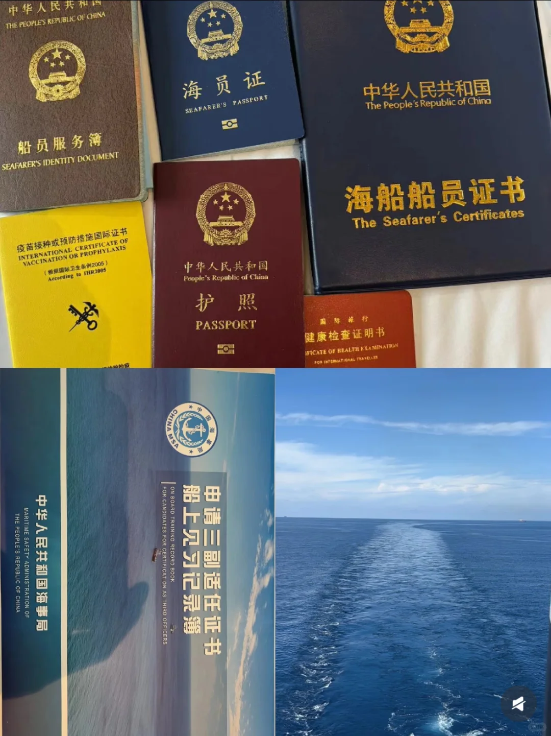 我的海员证来了🌊