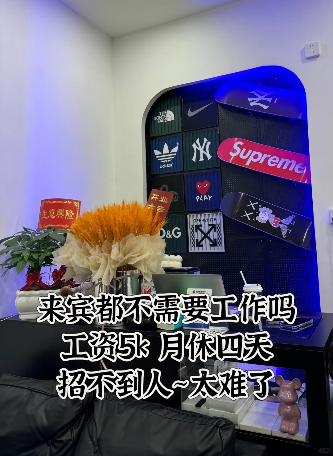 来宾❗️求求了来个工作搭子吧