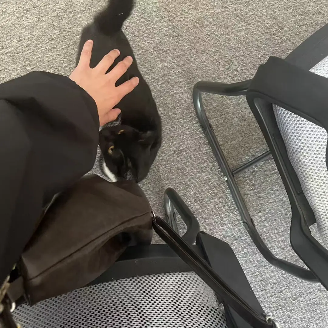 你好，辽宁朝阳，这里在招人哦