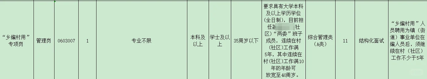 乡村编用什么意思？