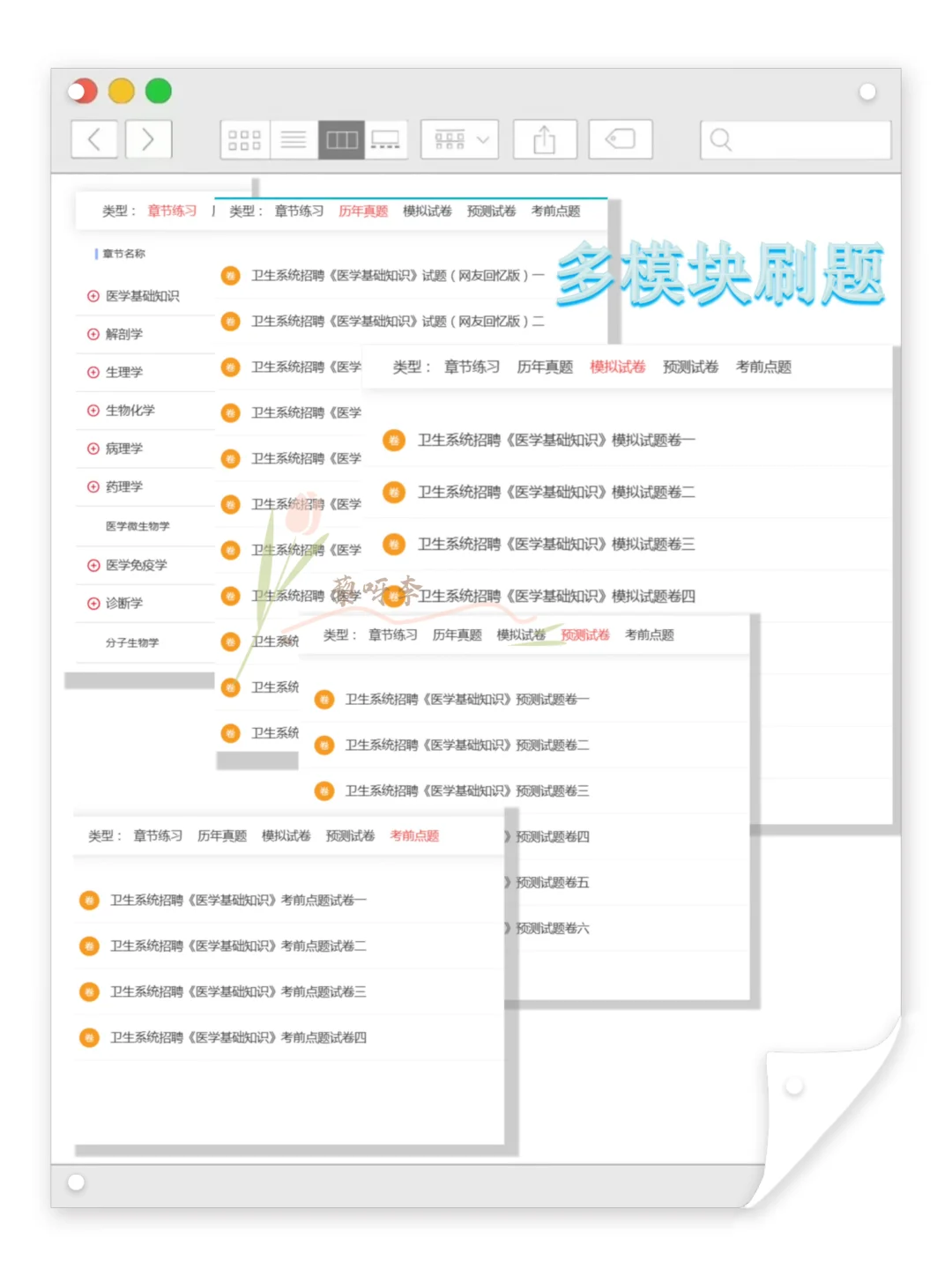 来宾市