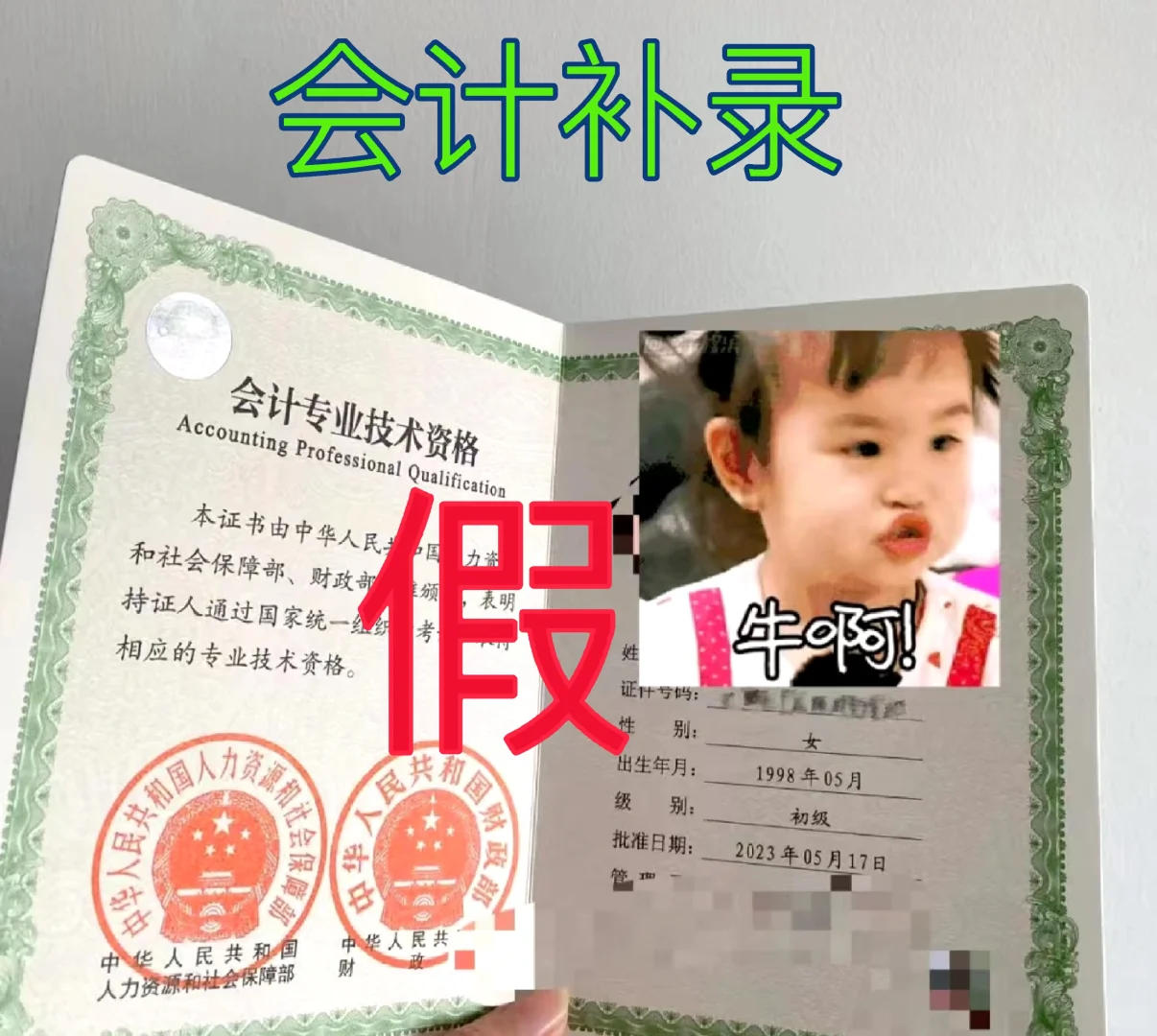 会计绿通