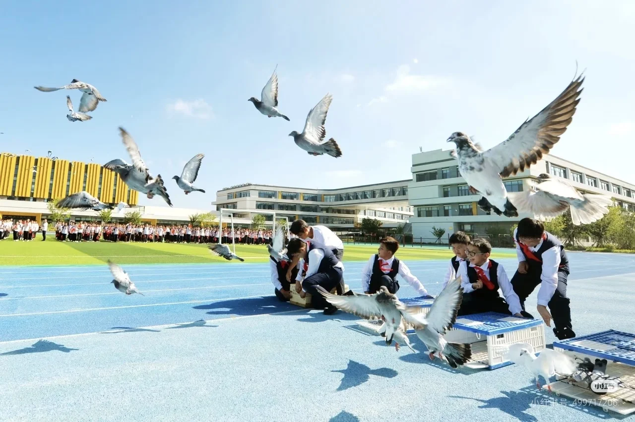 青岛市城阳区景明学校招聘