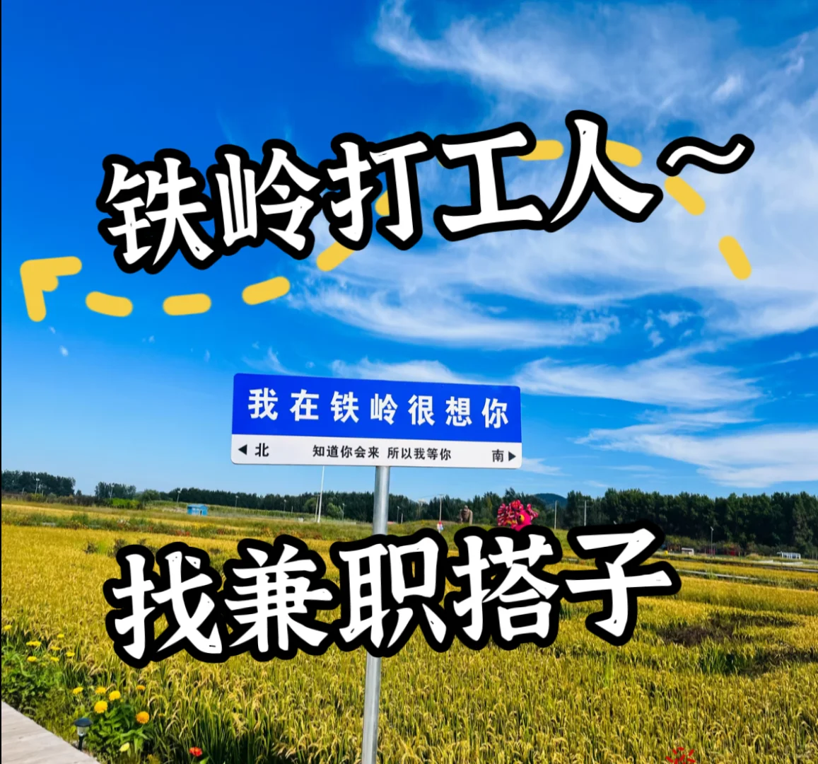 暑假没事干 找不到暑假工 那就来日结啊！！