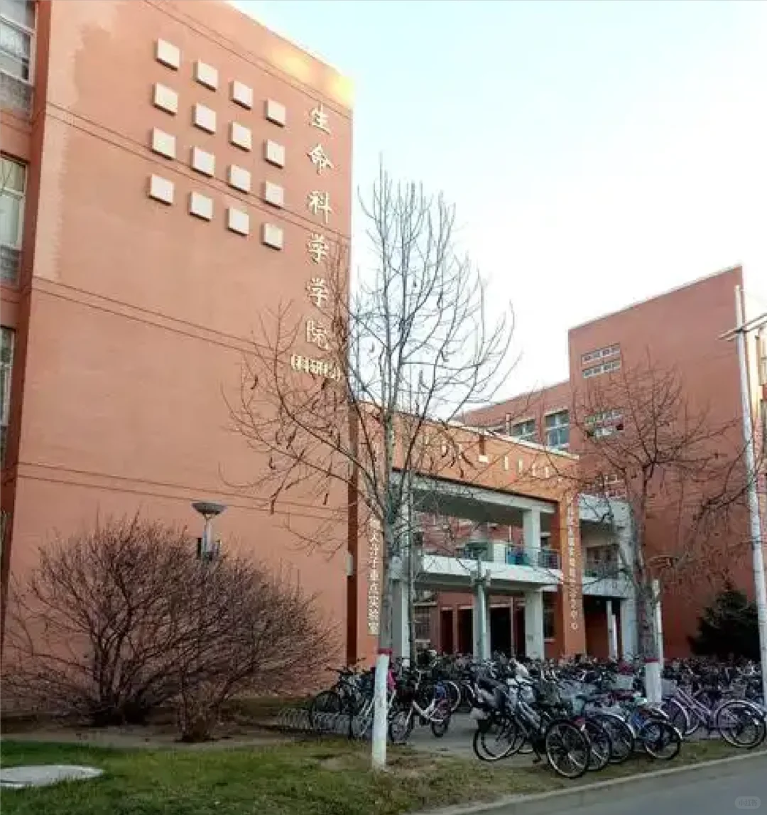 郑州大学生命科学学院招聘本科教学管理人员