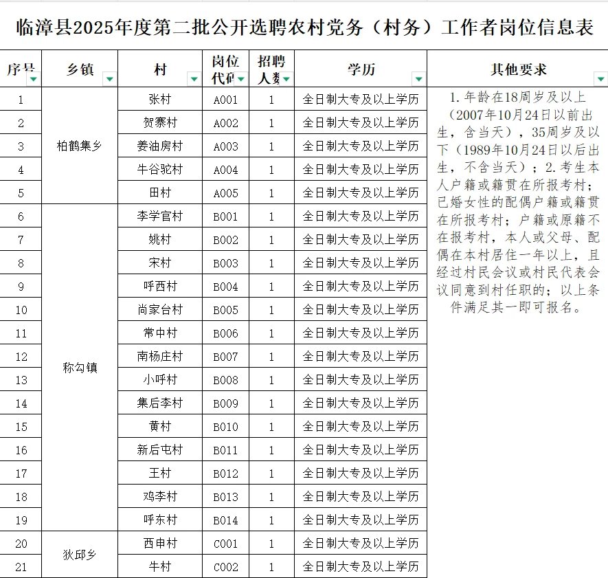 临漳县第二排公开选聘村务工作者岗位表