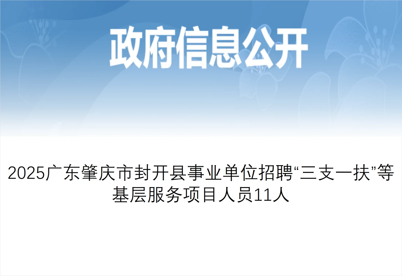 肇庆这里新出三支一扶转编的招聘机会
