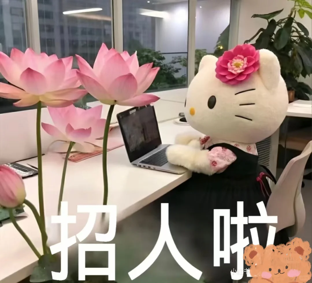 沈北工作推荐
