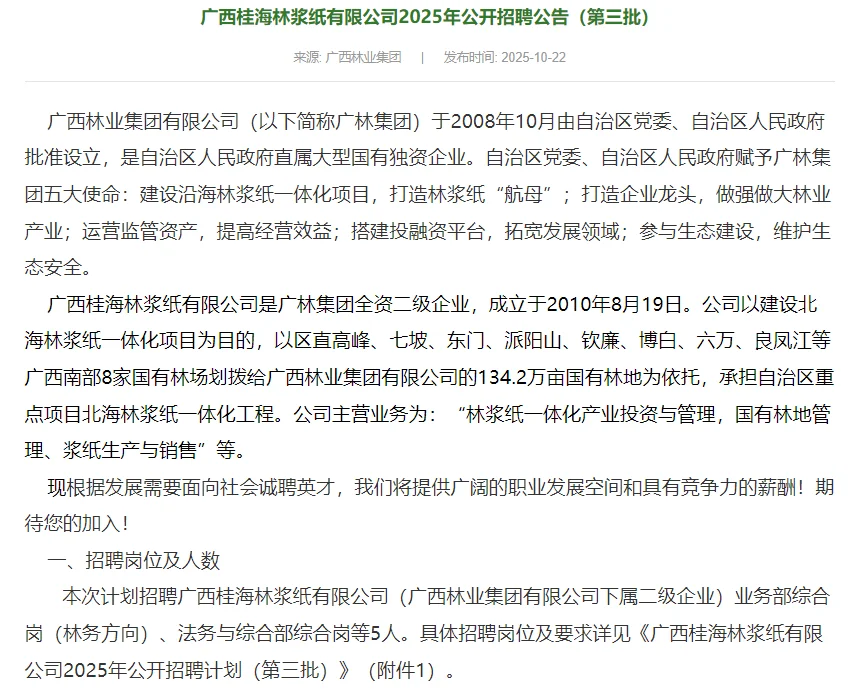 2025广西桂海林浆纸有限公司公开招聘5人