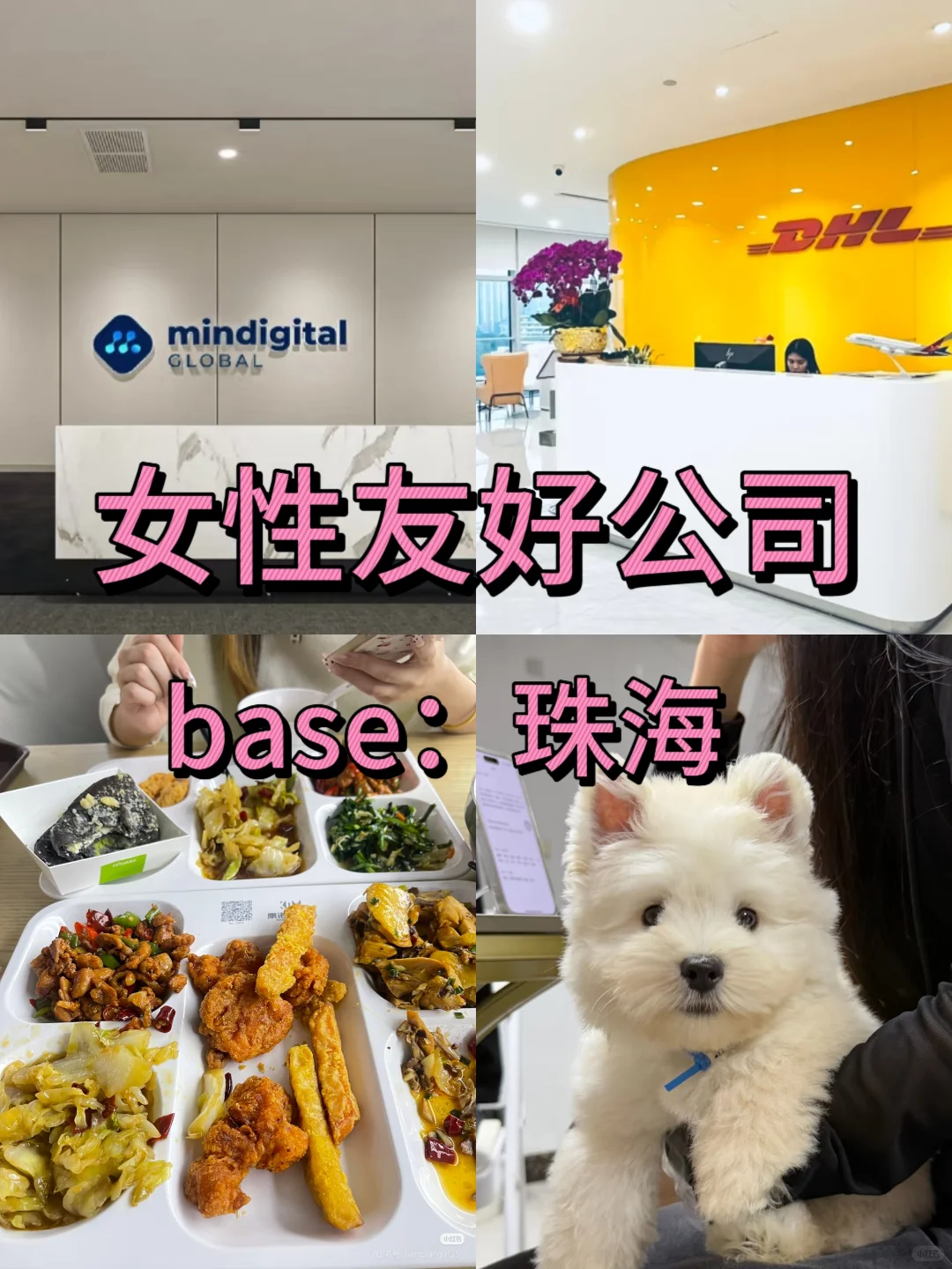 女性友好公司：珠海篇