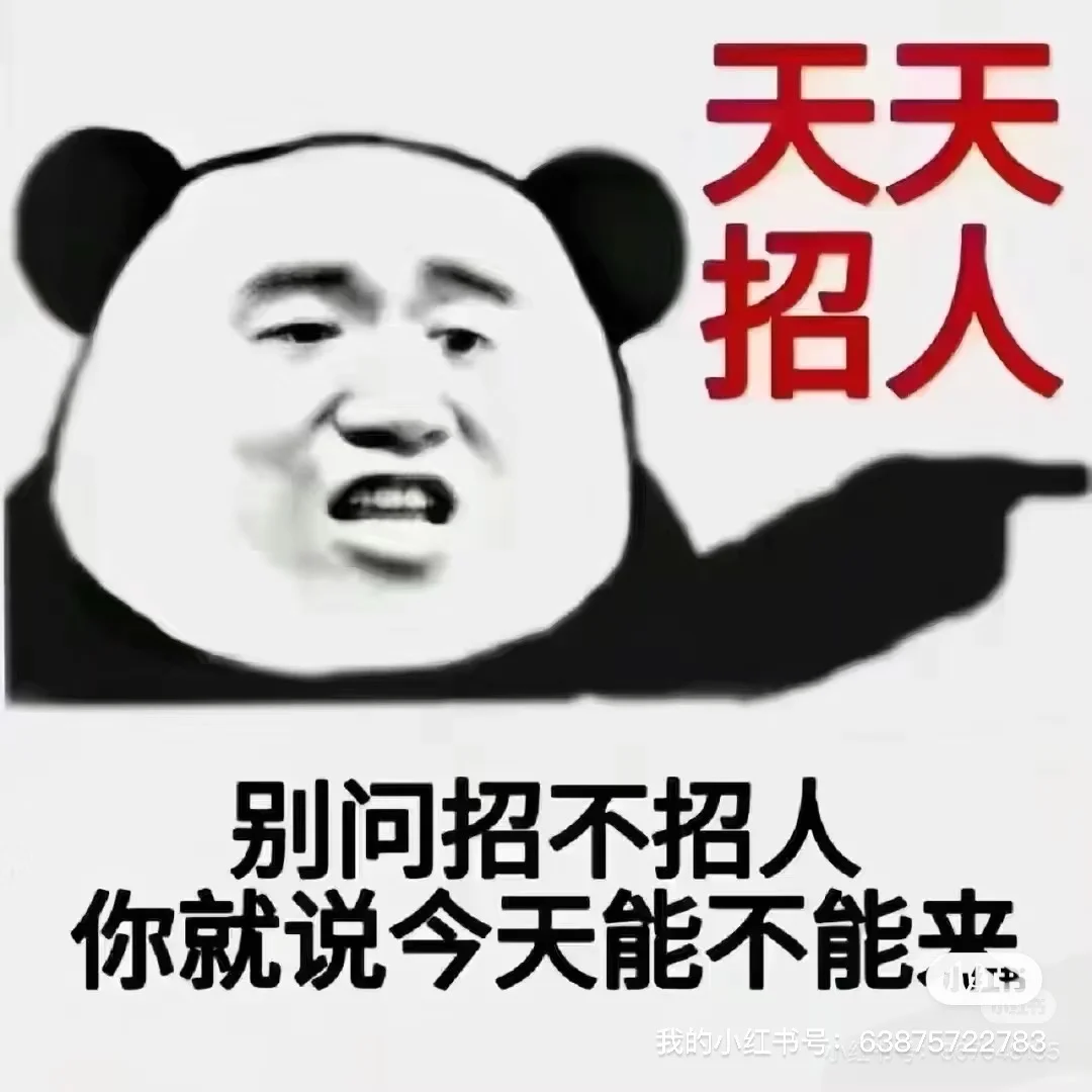 包头包头