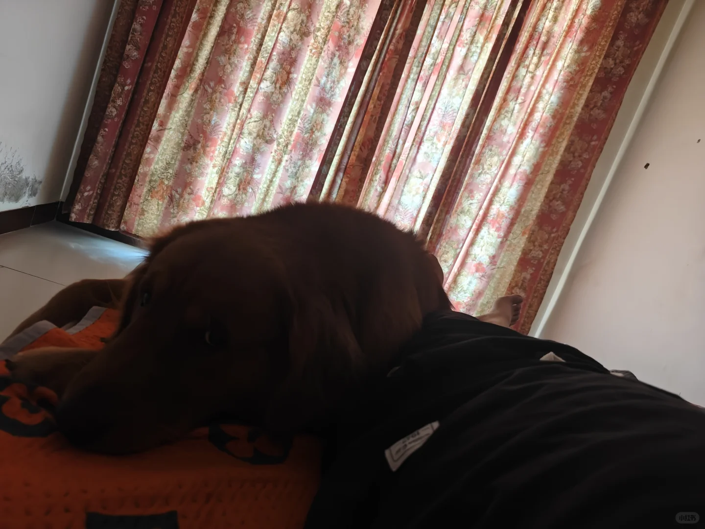 沧州哪里在招聘，求个工作，失业两个月了