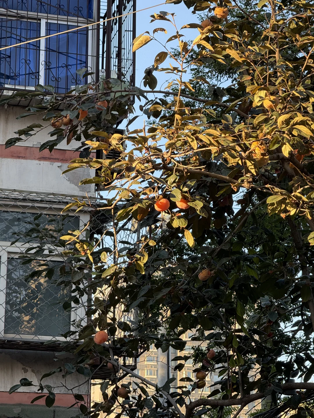 北京选调让我意识到，我不过是在阅读北京