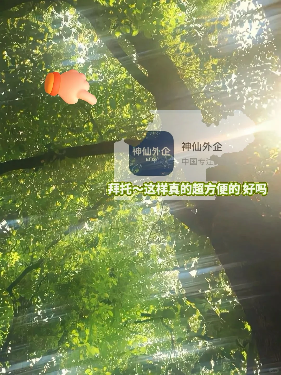 神仙外企 BASE：肇庆