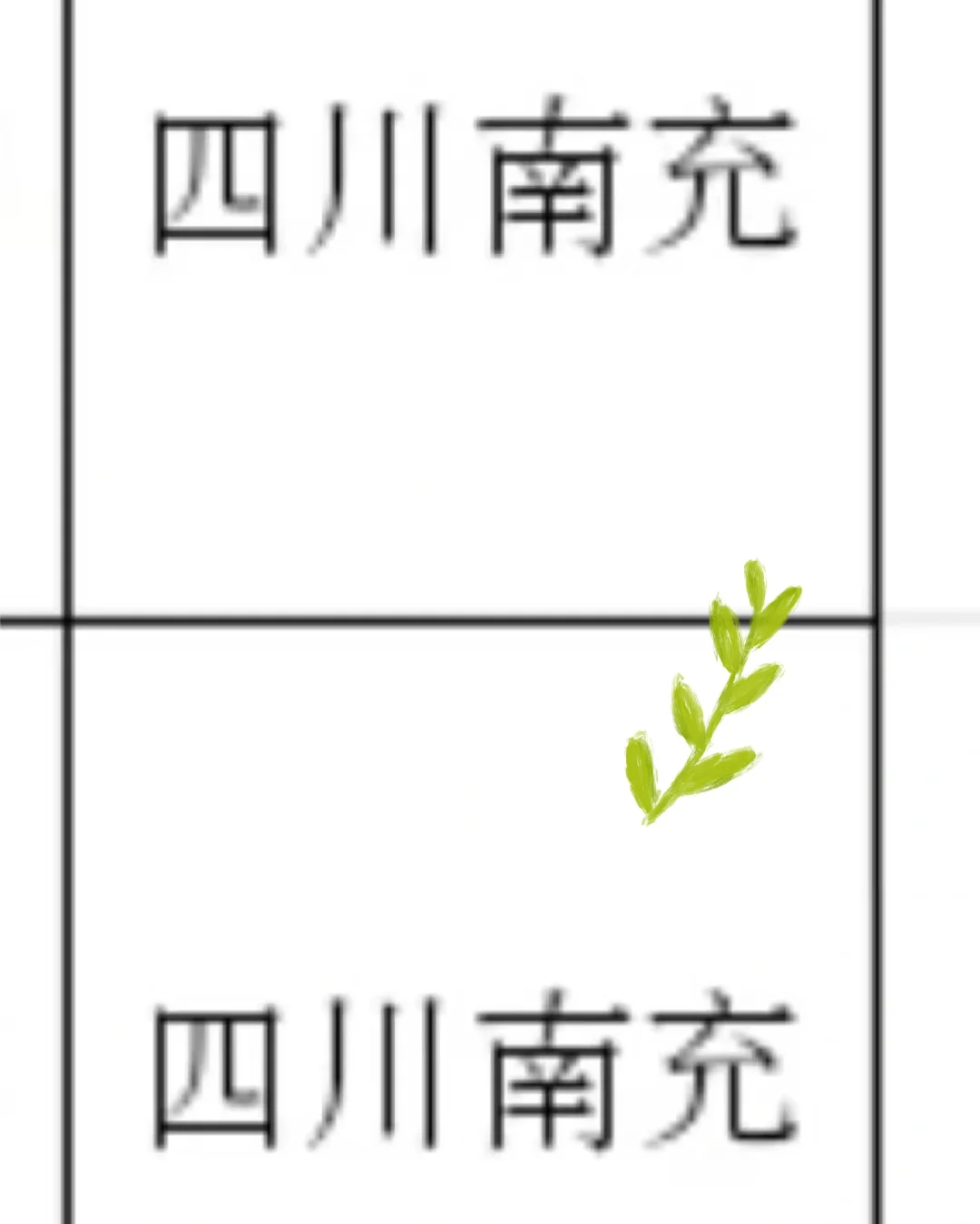 四川南充出了！！四川南充