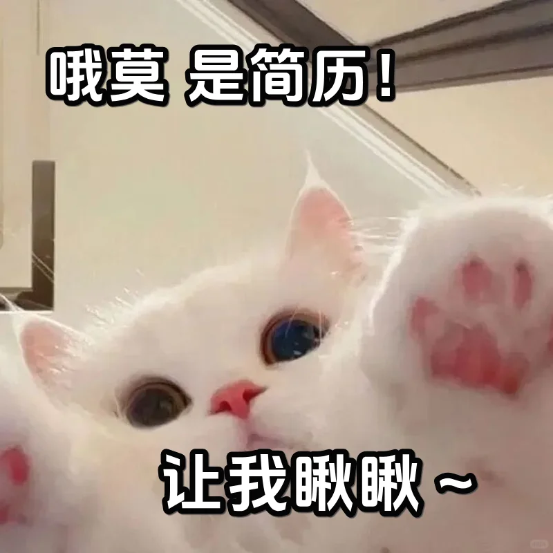 收藏这些招聘表情包，成为超有梗的HR