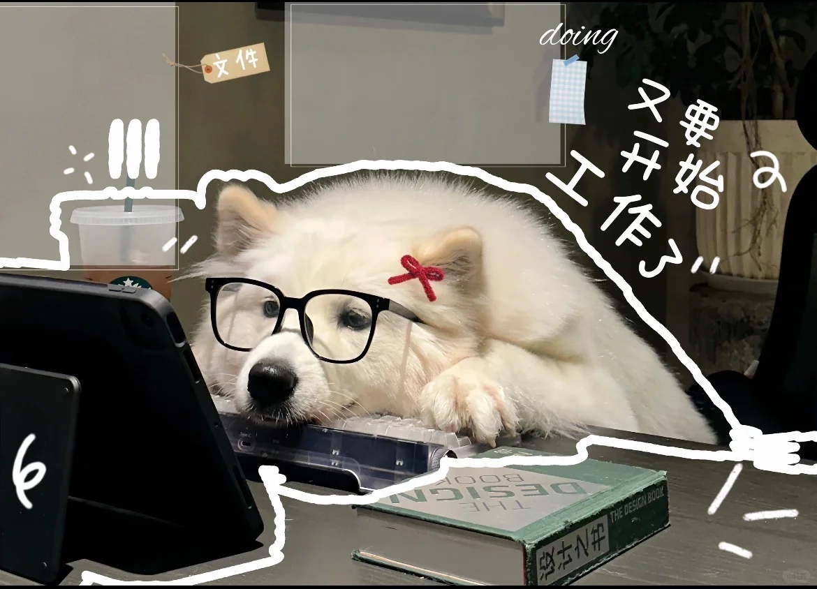 重生之我在绥化找工作