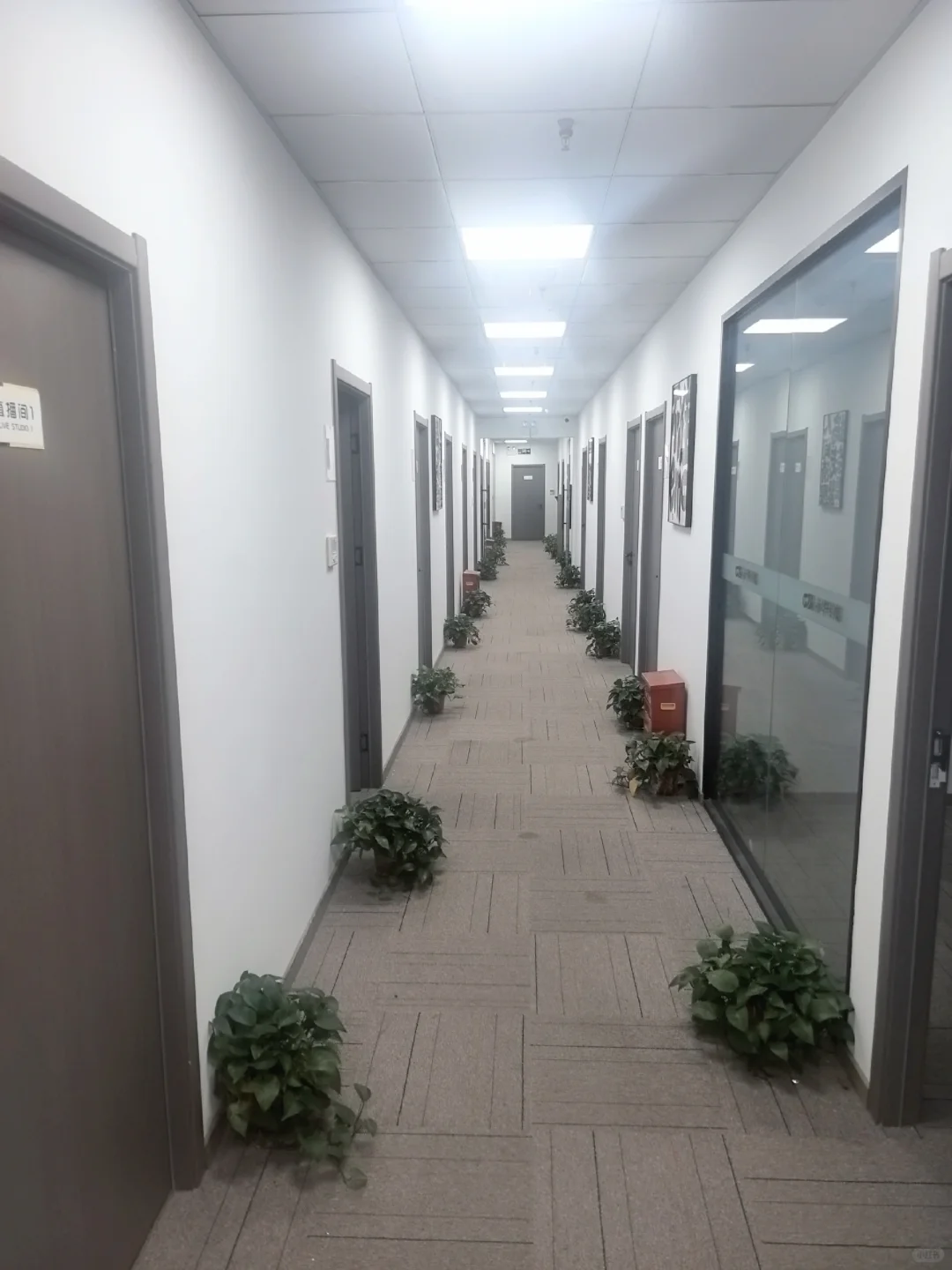 到底是谁还没有找到工作啊