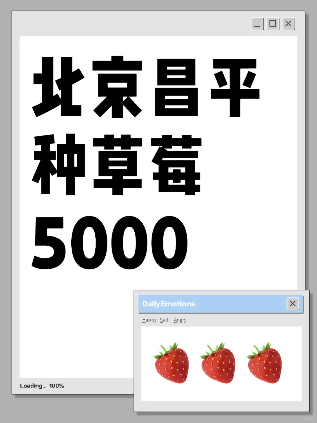 北京种草莓，5000！