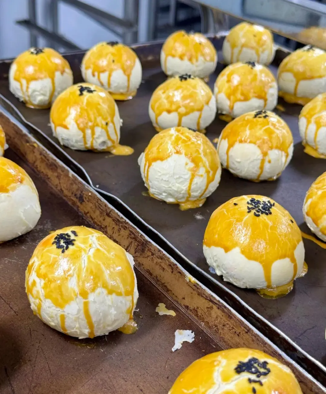 河北本地食品厂招聘