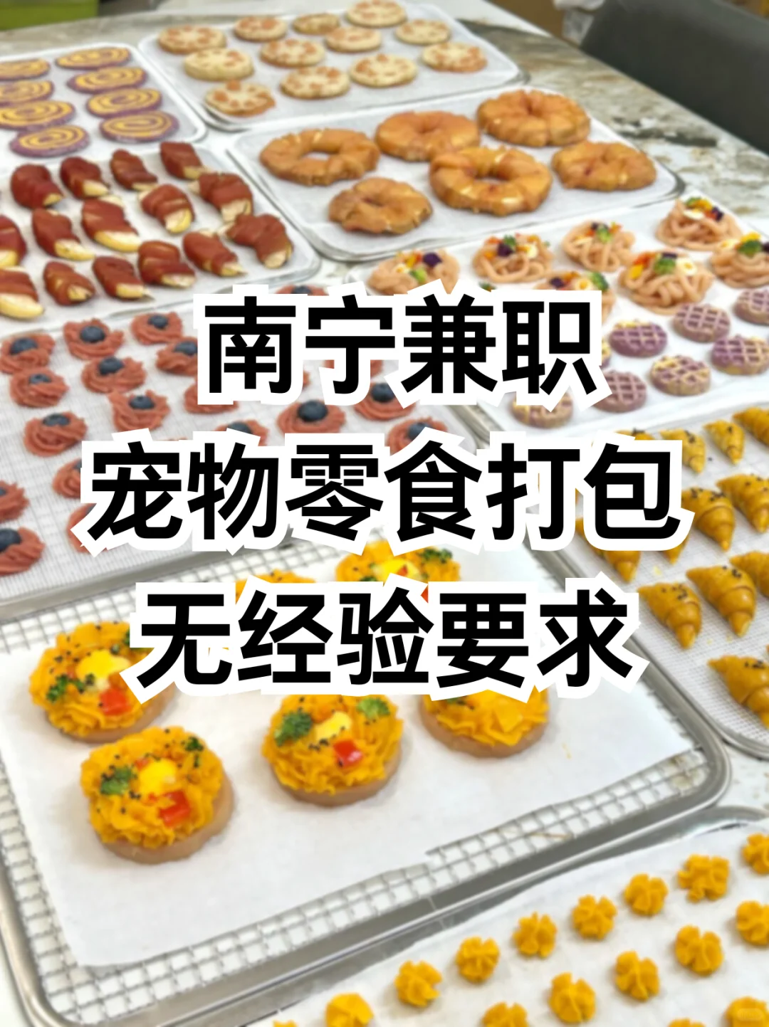 南宁宠物零食打包158/天