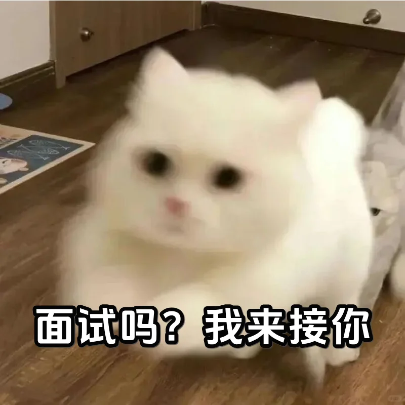 收藏这些招聘表情包，成为超有梗的HR