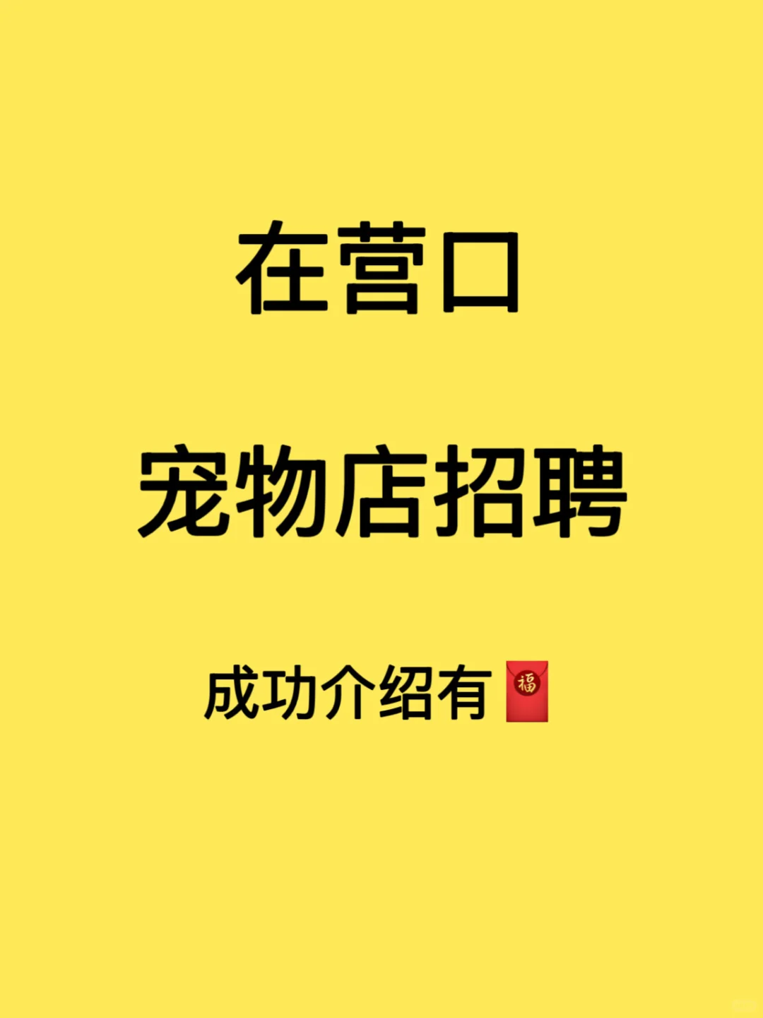 辽宁营口宠物店