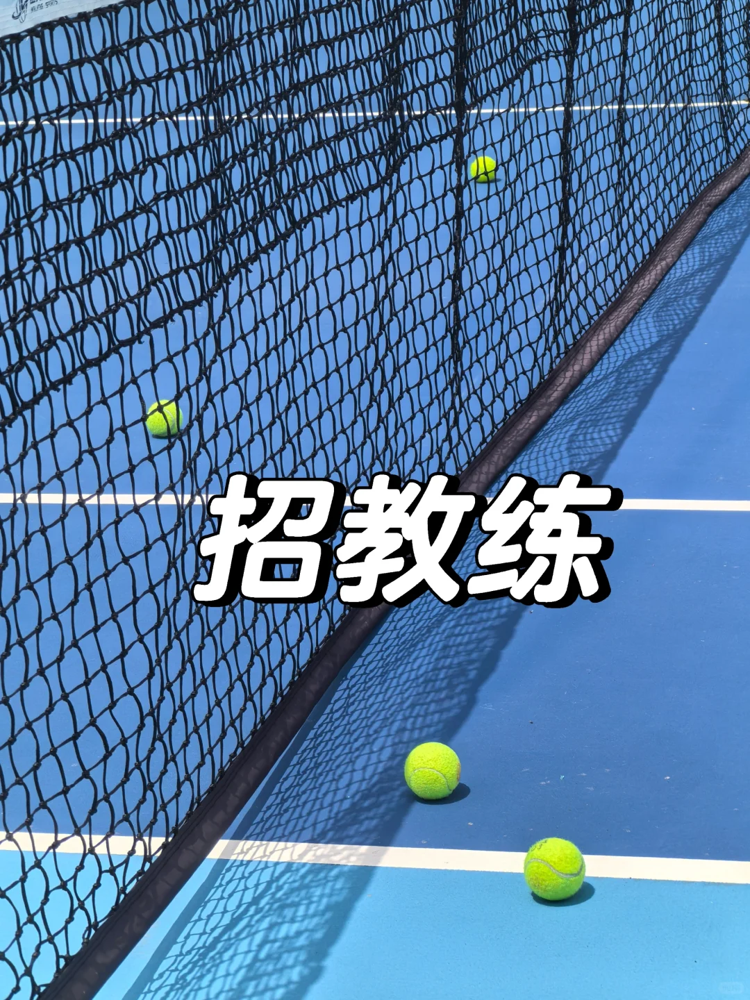 正经招教练贴