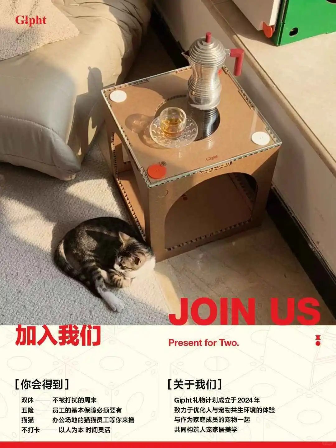 Gipht摇人啦📢带薪撸猫！不做牛马！