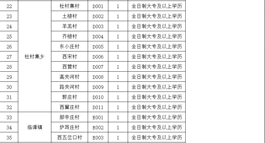 临漳县第二排公开选聘村务工作者岗位表