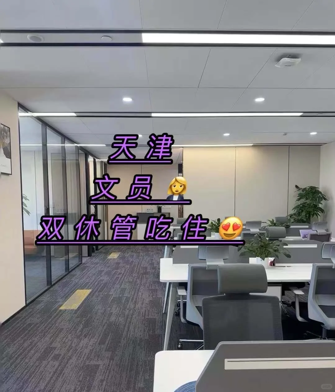 ✨天津文员岗！双休包吃住😍