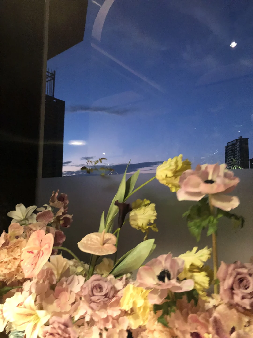 9月先把不在乎空窗期的植物外企都投了