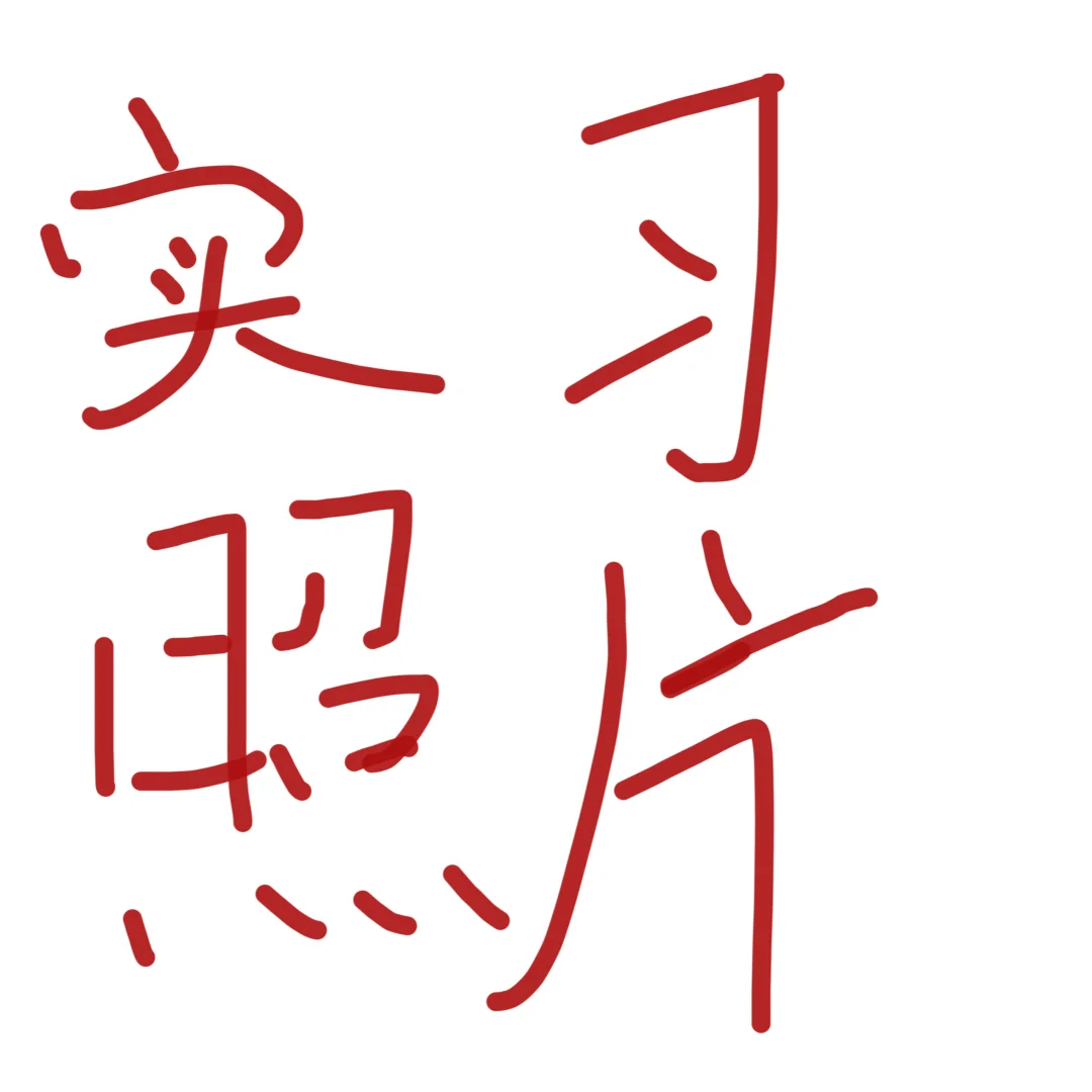 求小学实习照片