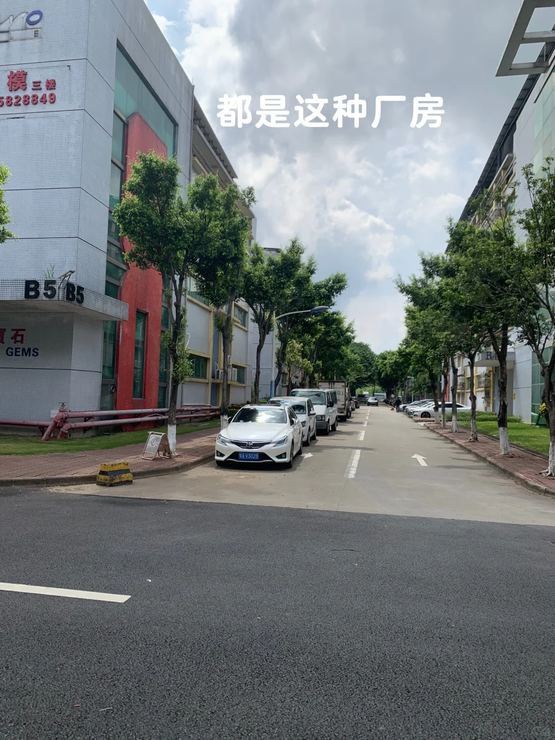 广州番禺双休工作-赛轩