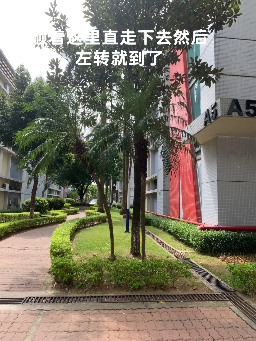 广州番禺双休工作-赛轩