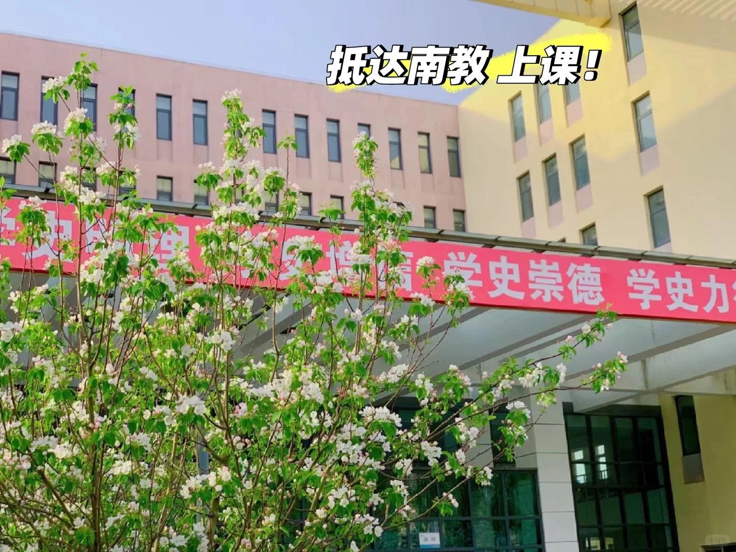 迪卡侬兼职大学生的一天（上）🍉
