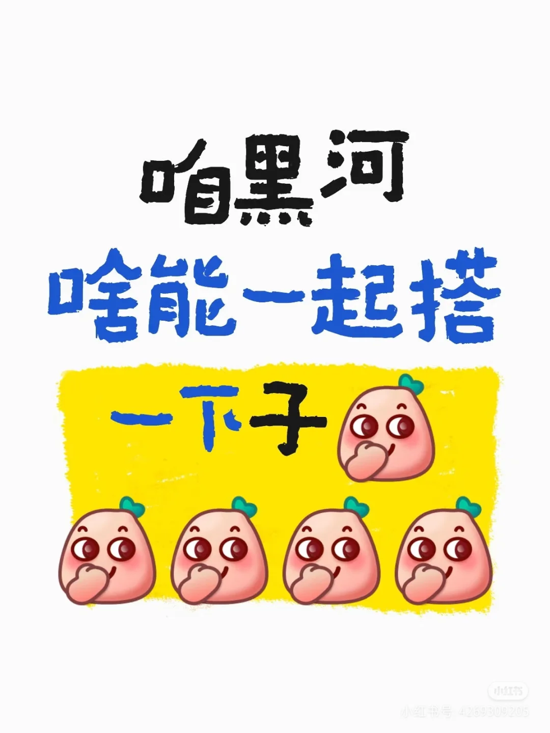 为什么很少见到黑河的ip