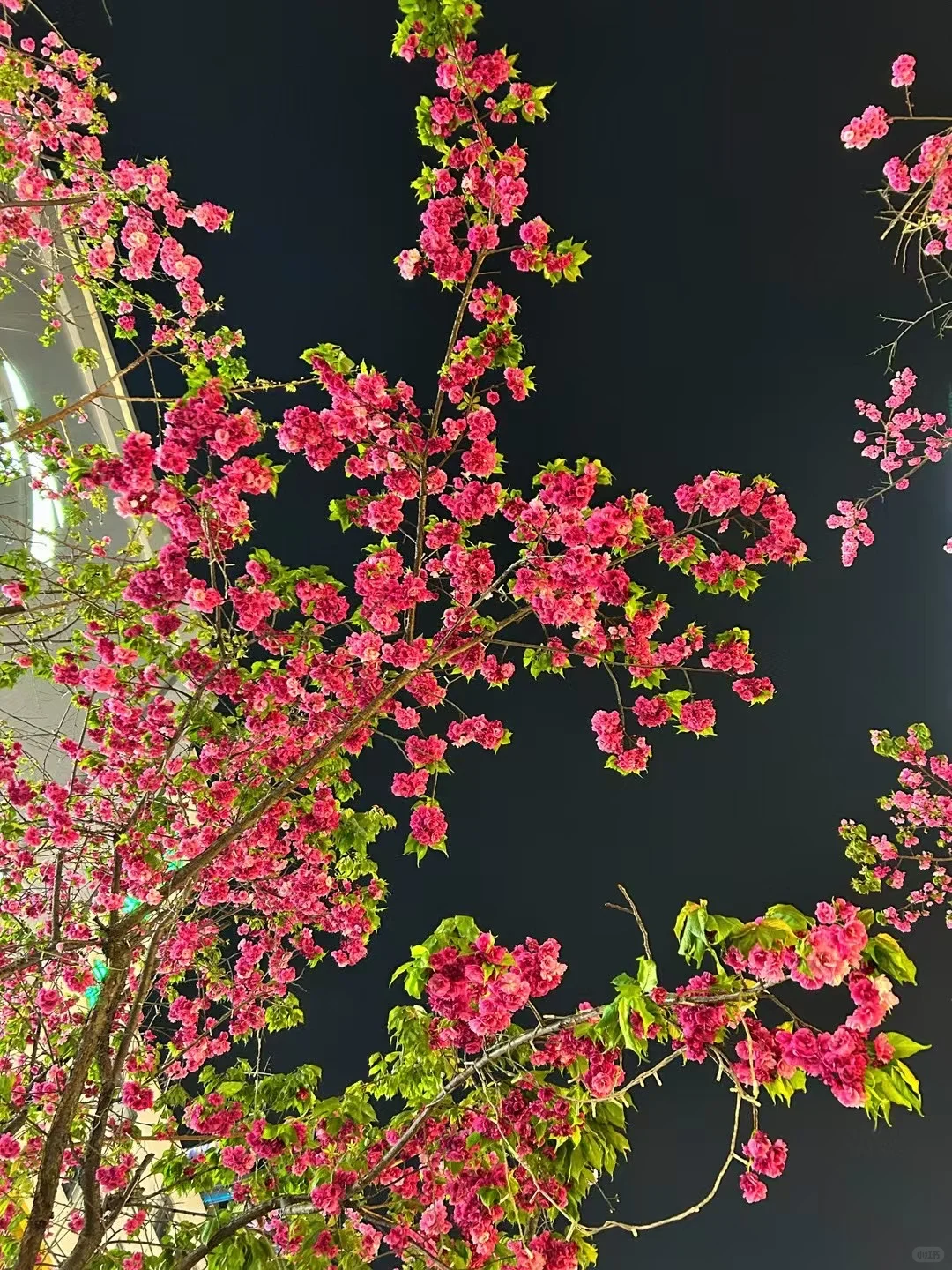 邵阳招工 大祥区来人 ！