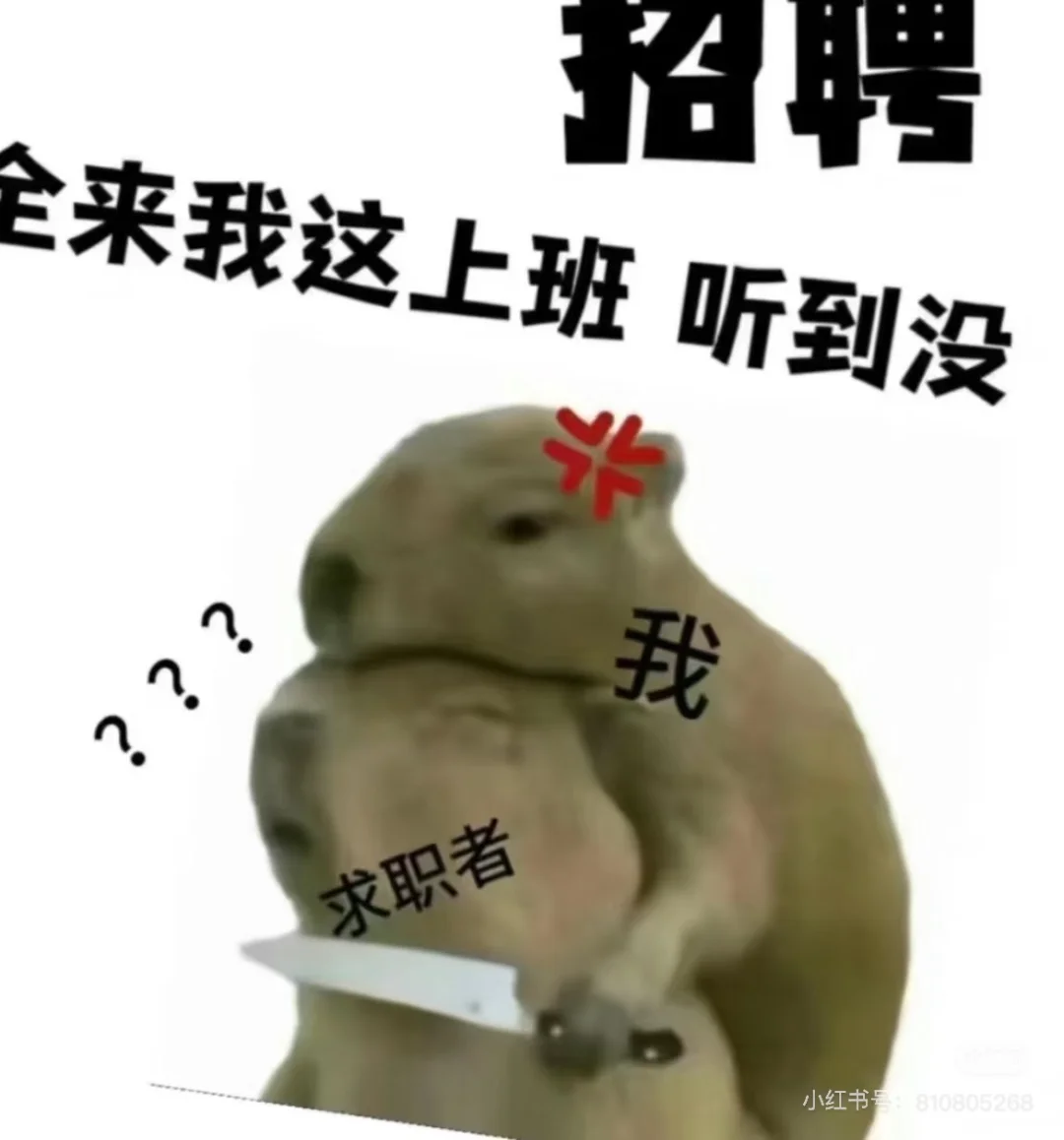 快去投递！这简直太香了！