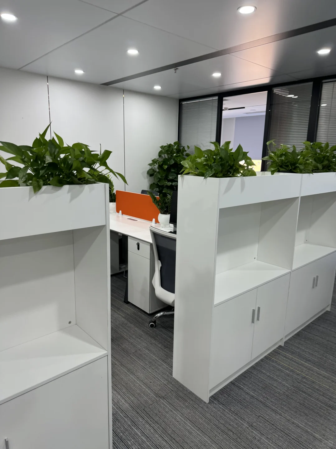 还有人找zd工作的吗！