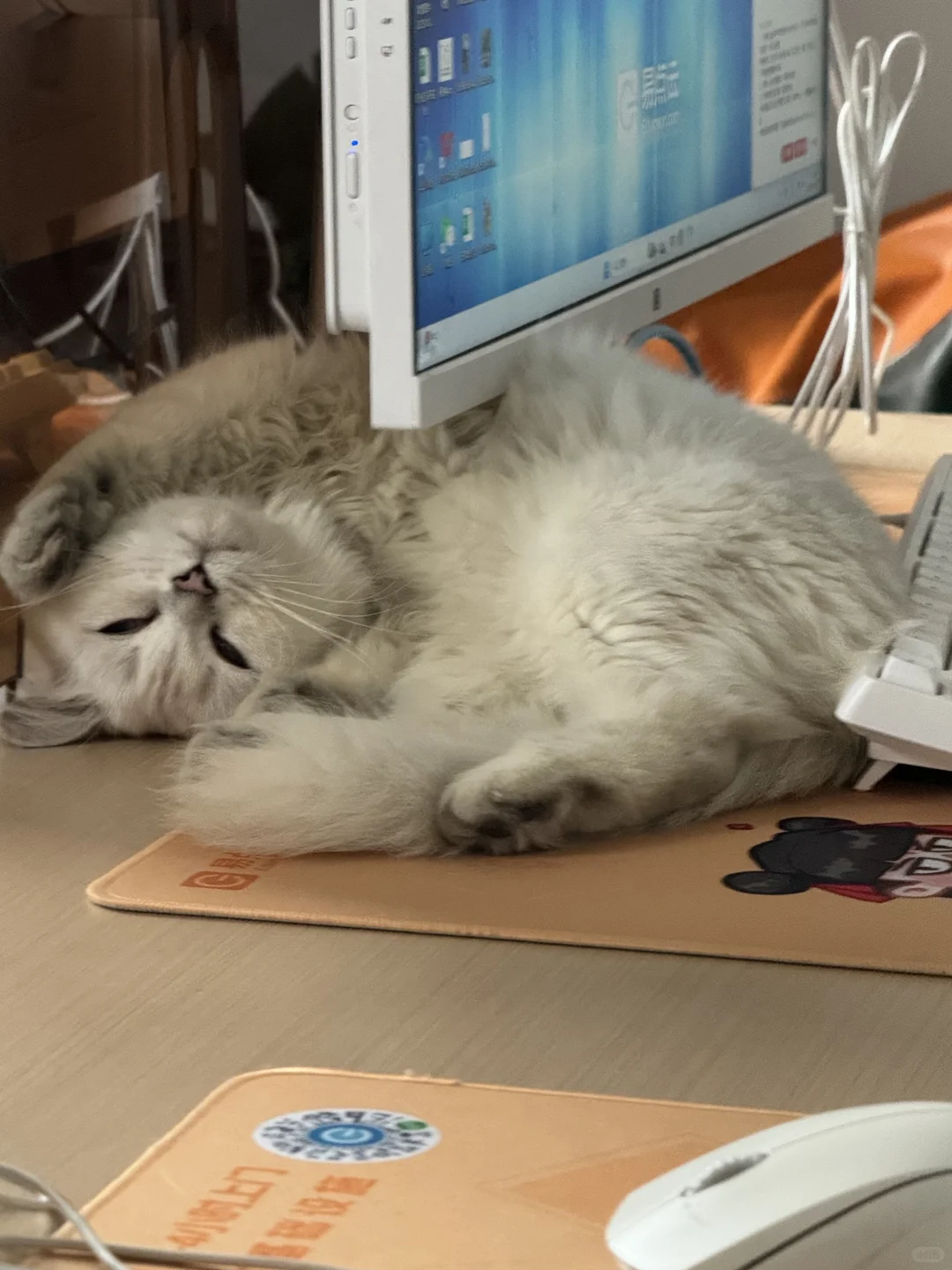 泰州急招！！！