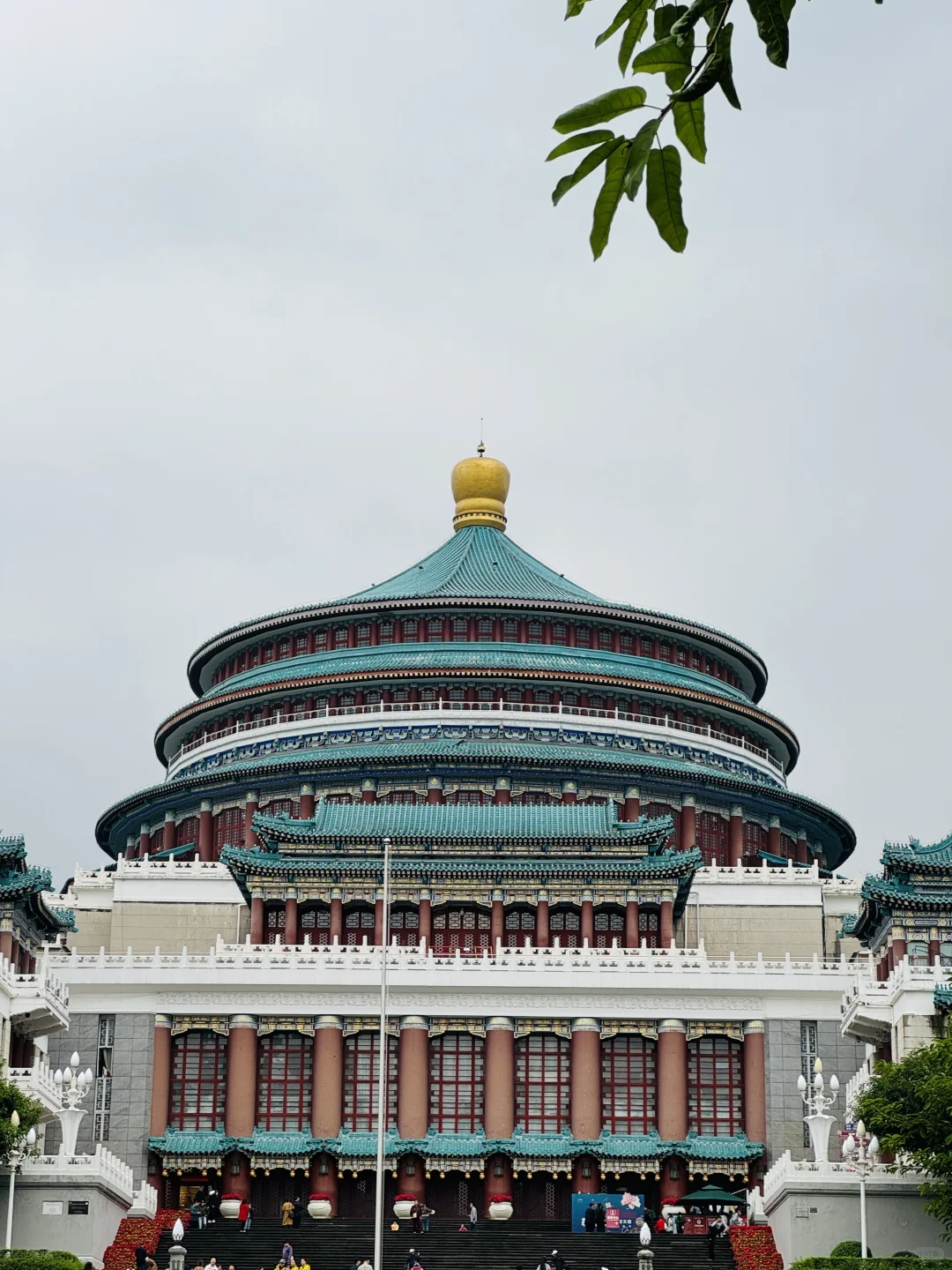 📖护士笔记｜PVC、CVC、PICC、PORT有什么区别❓