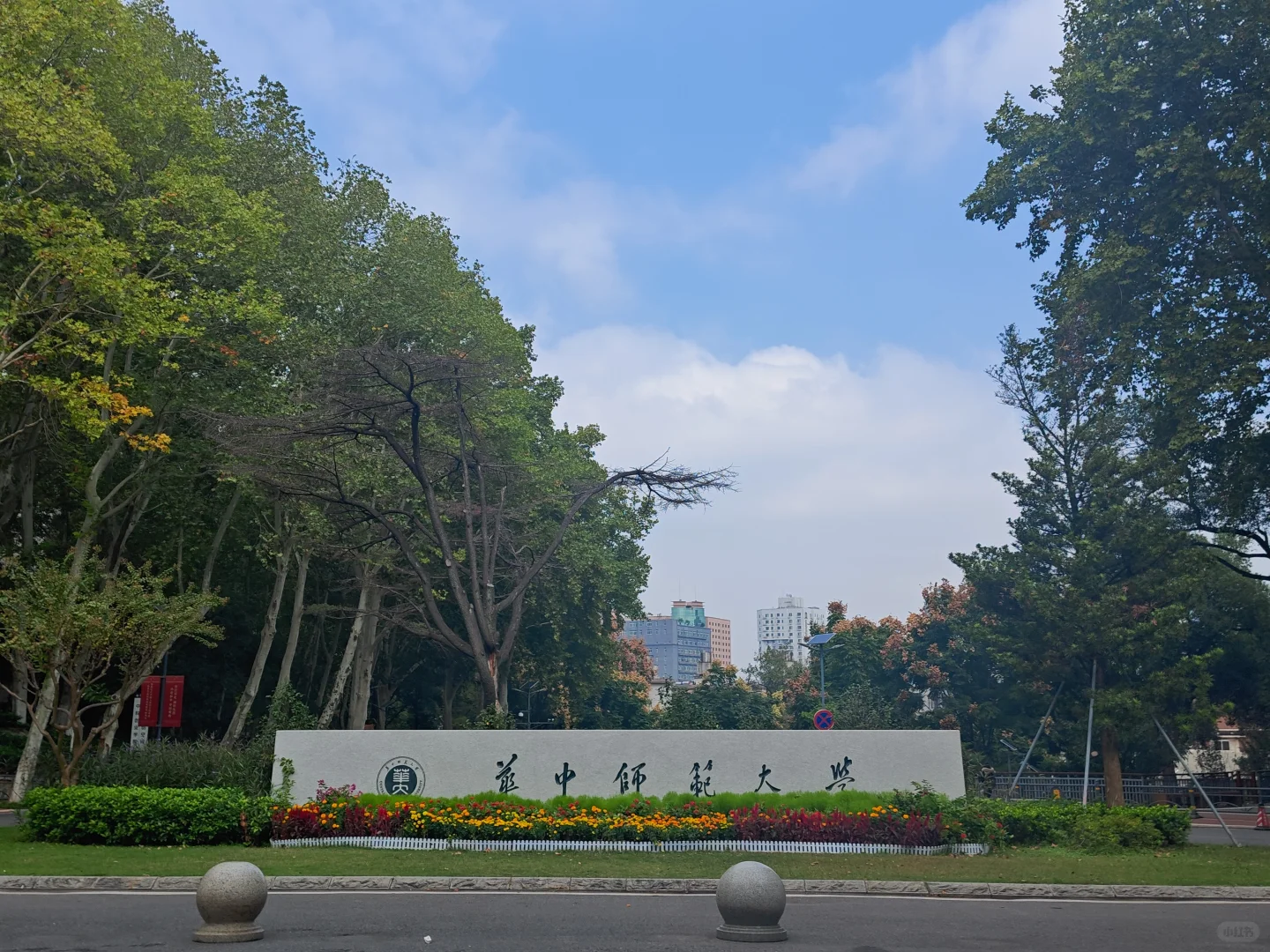惠州市直武汉场